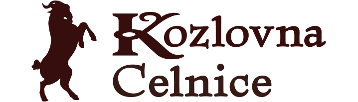 Kozlovna celnice